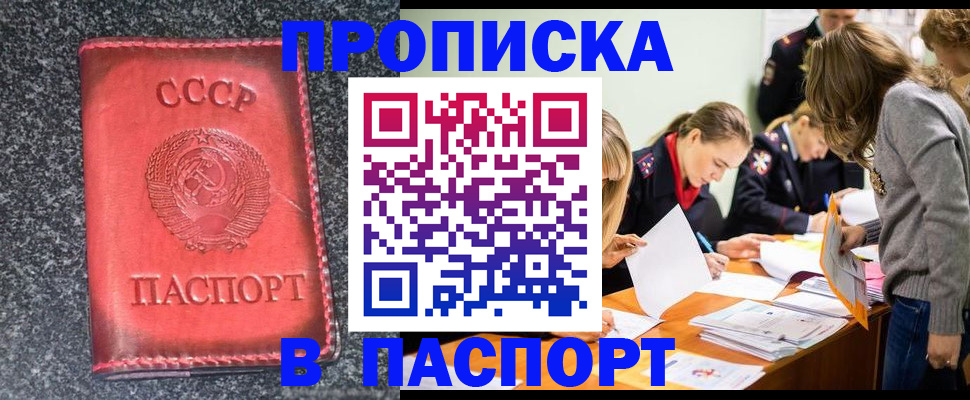 прописка для школы в Ельне